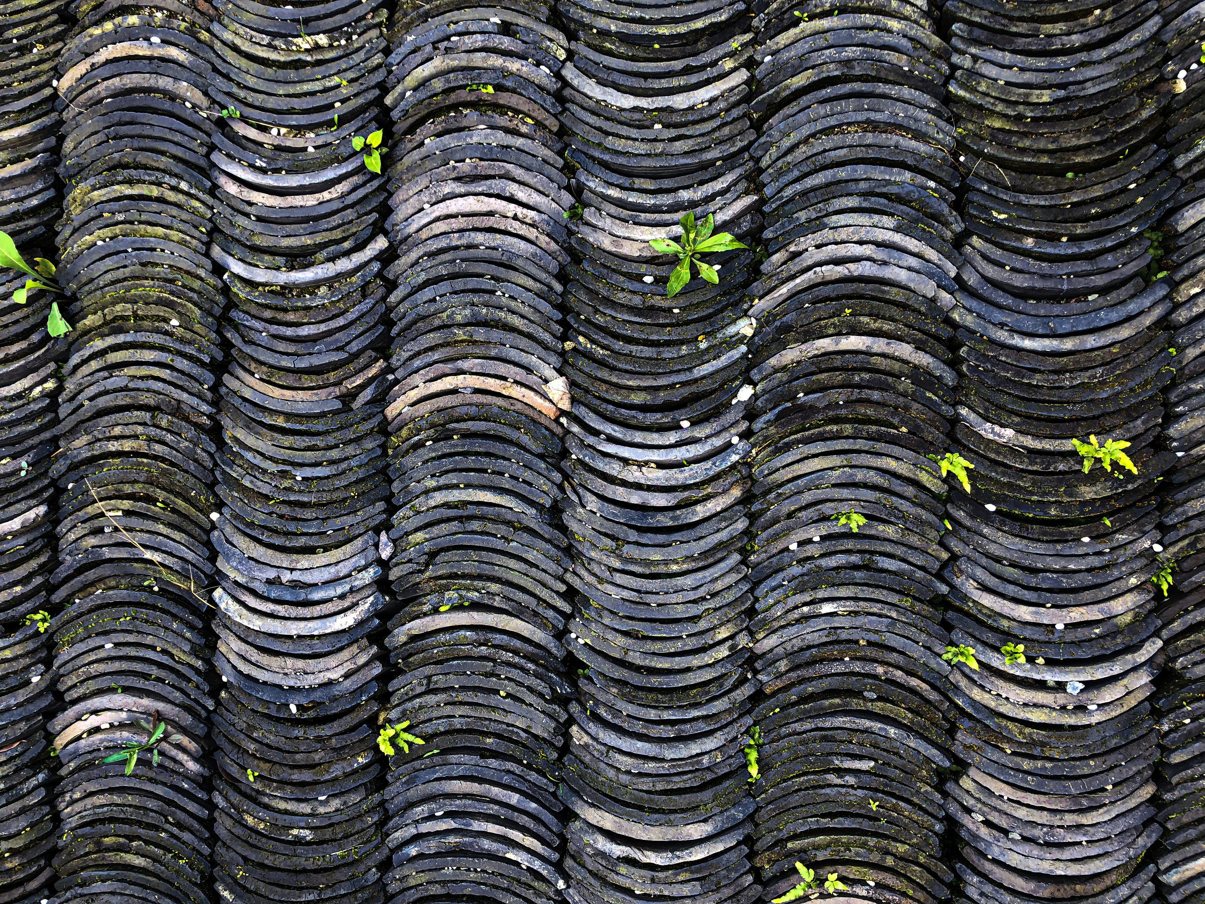 About Saito Dynamics